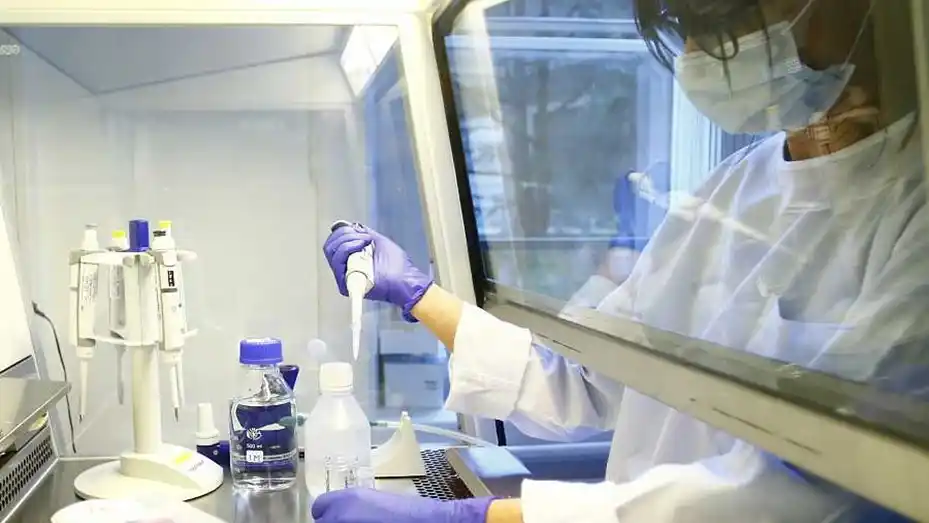 La vacuna de Oxford contra el covid tuvo "buenos resultados" en la Fase 3