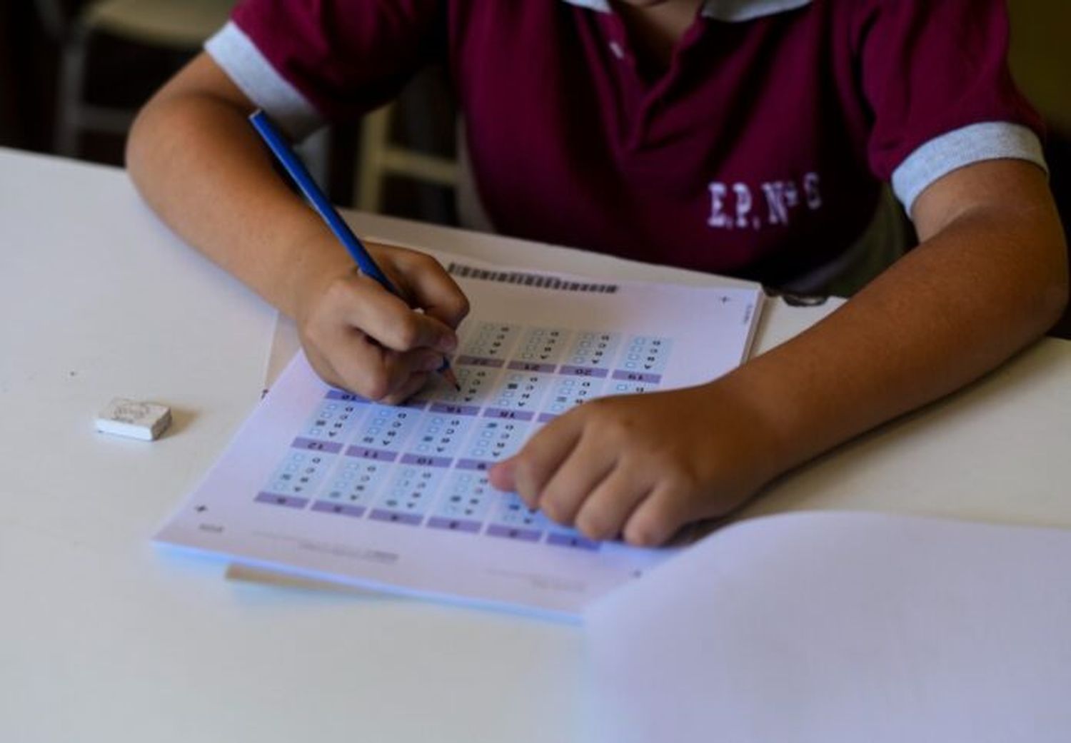 Datos de la Prueba Aprender