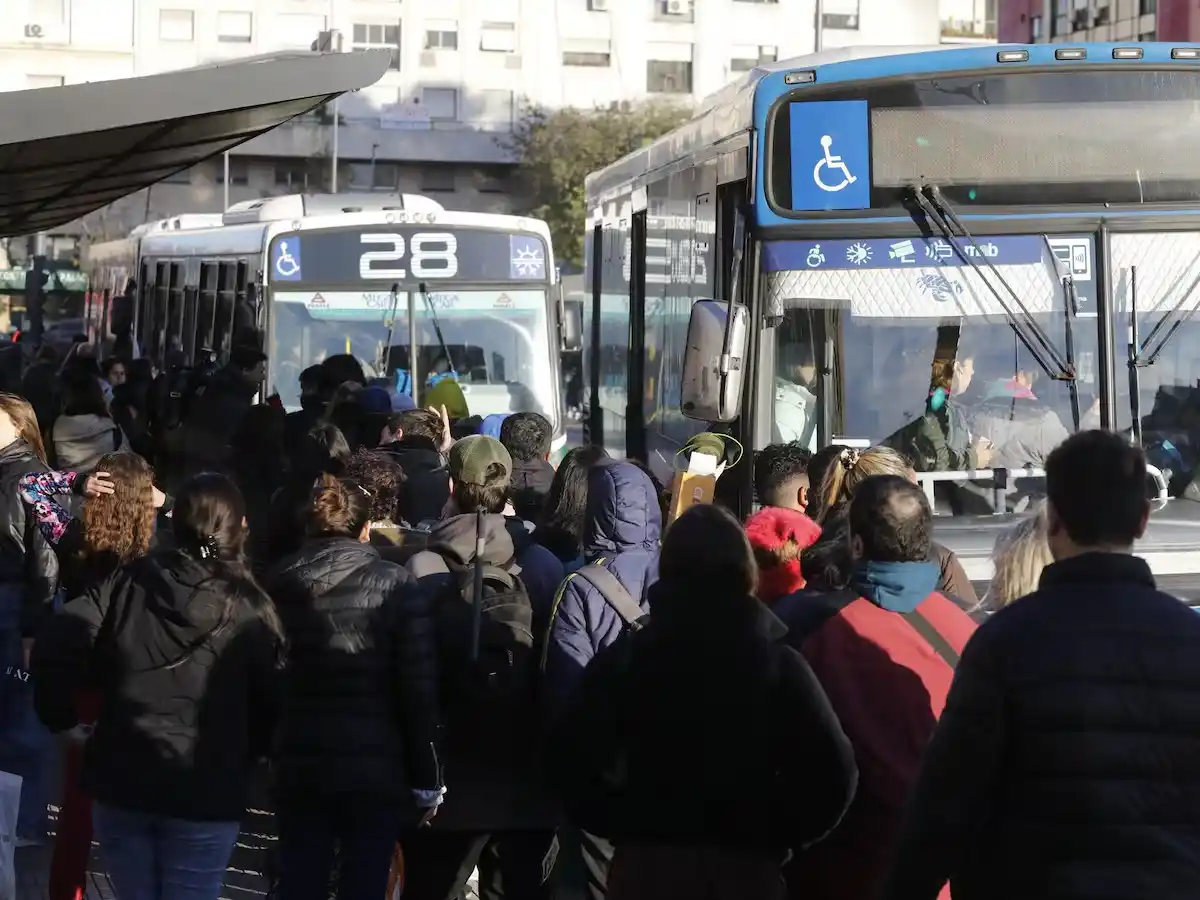 El infierno que viven los bonaerenses por reducción de servicios en más de 100 líneas de colectivos en AMBA y La Plata