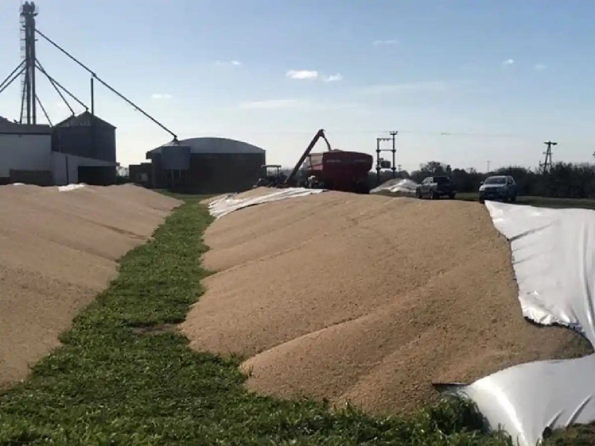 La Sociedad Rural repudió la rotura de silobolsas