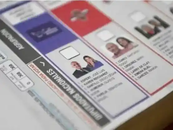 La Justicia rechazó el pedido del Gobierno para reimprimir las boletas y se mantendrá la foto de Espert