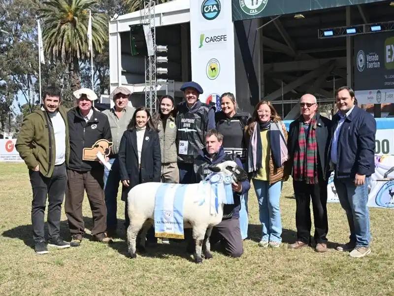 Distinción para los campeones de la muestra.