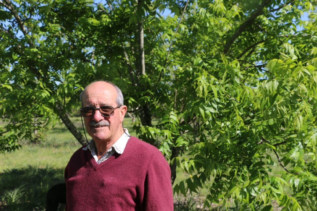 Crisis en el sector agropecuario: productores se quejan por la alta carga impositiva