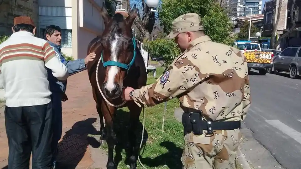 Unidos contra el delito rural