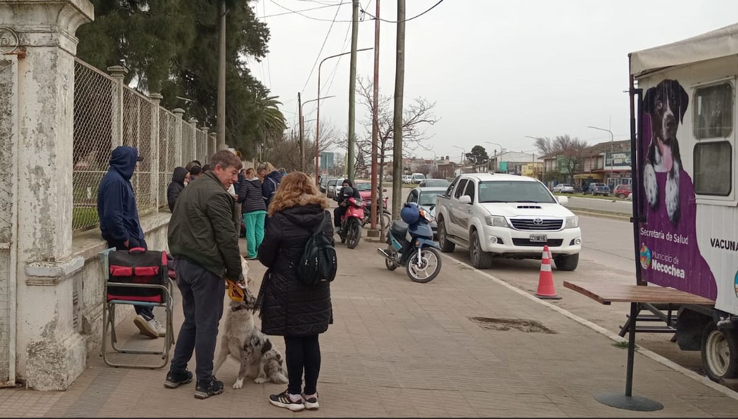 Castración. De mascotas se efectúa en el quirófano