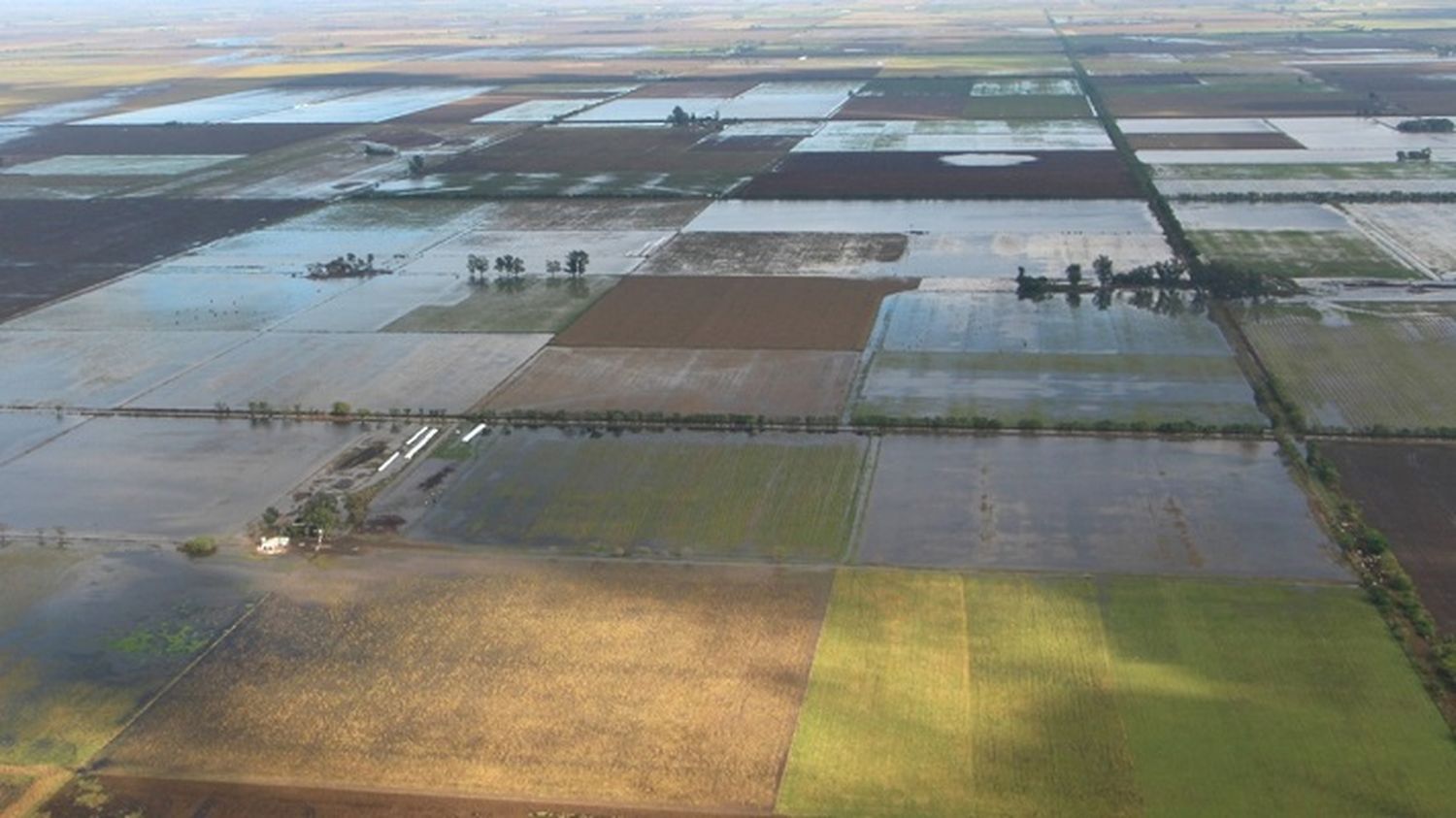 El campo ya estima pérdidas por más de US$ 2 mil millones por las inundaciones