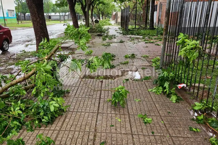 Turno tarde sin clases: una por una, las instituciones que suspendieron su actividad