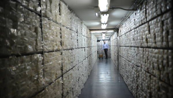 El Bapro destruye los últimos 239 millones de billetes de Patacones