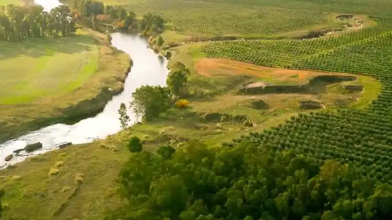 Presentación de la Ruta del Olivo