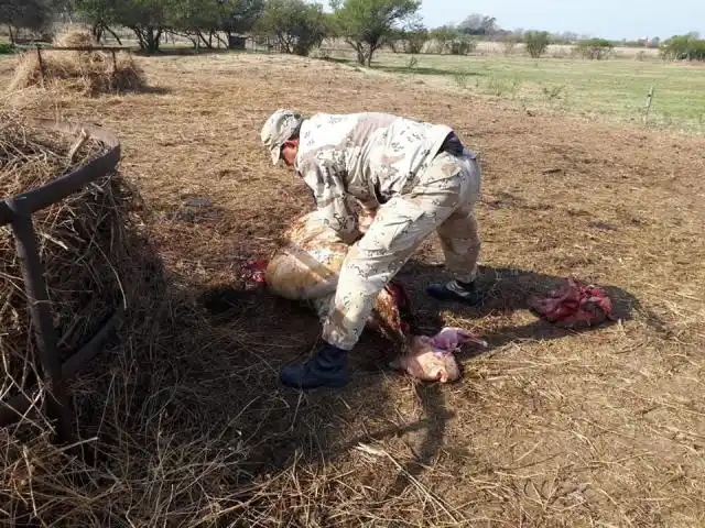 Sociedad Rural Gualeguay se expresó sobre un hecho de abigeato
