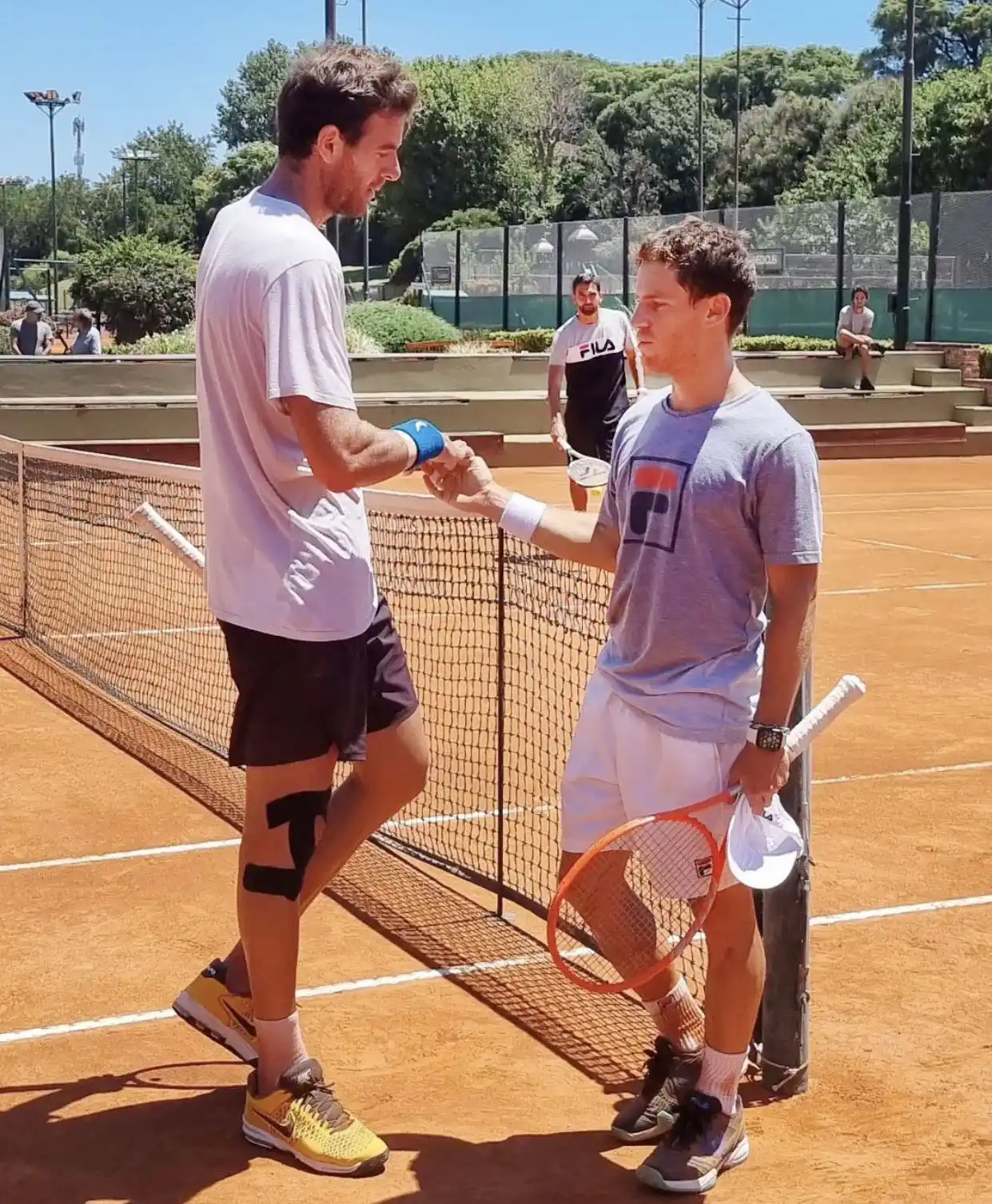 Del Potro convive con dolores pero no se baja