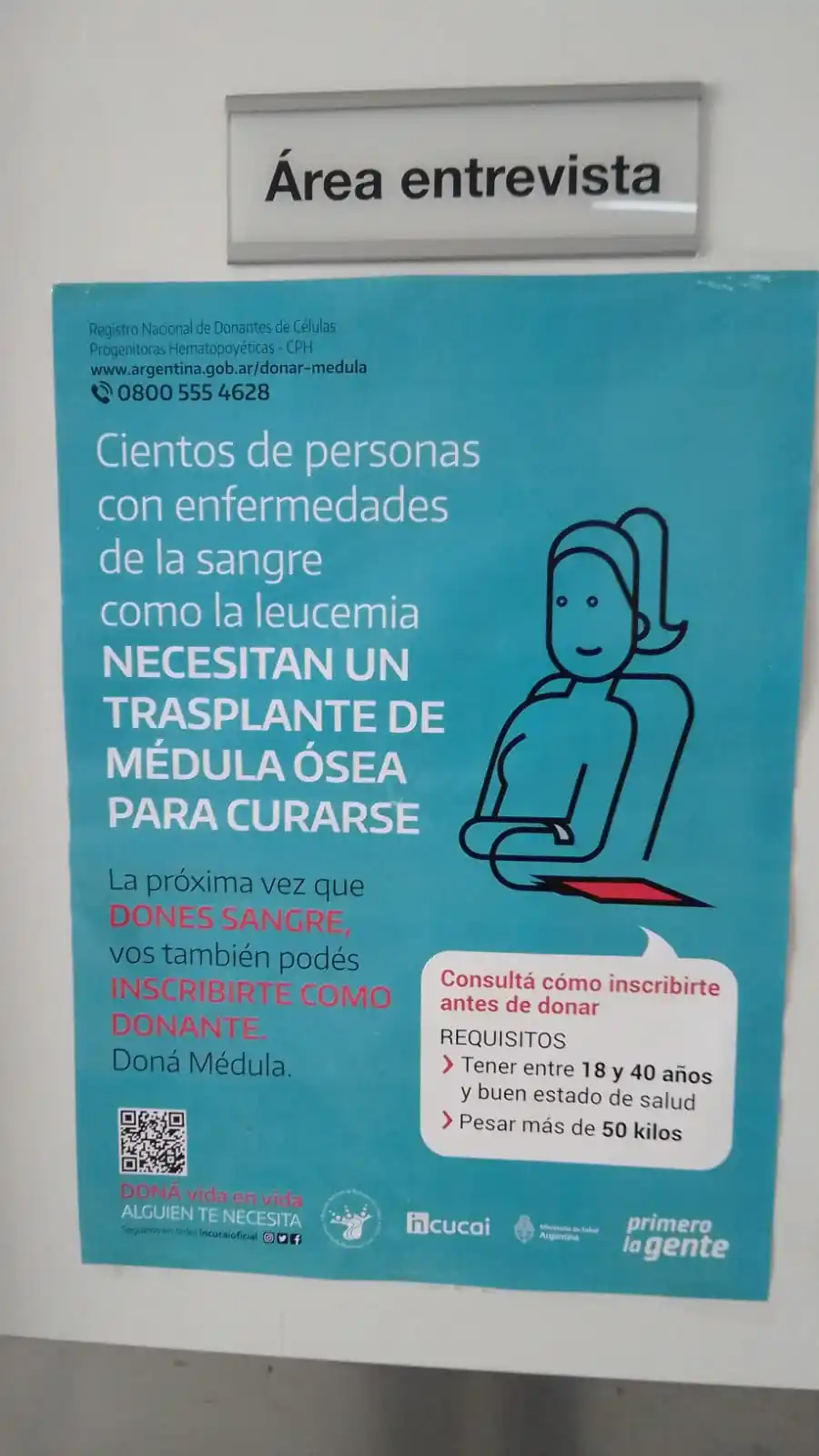 medula osea