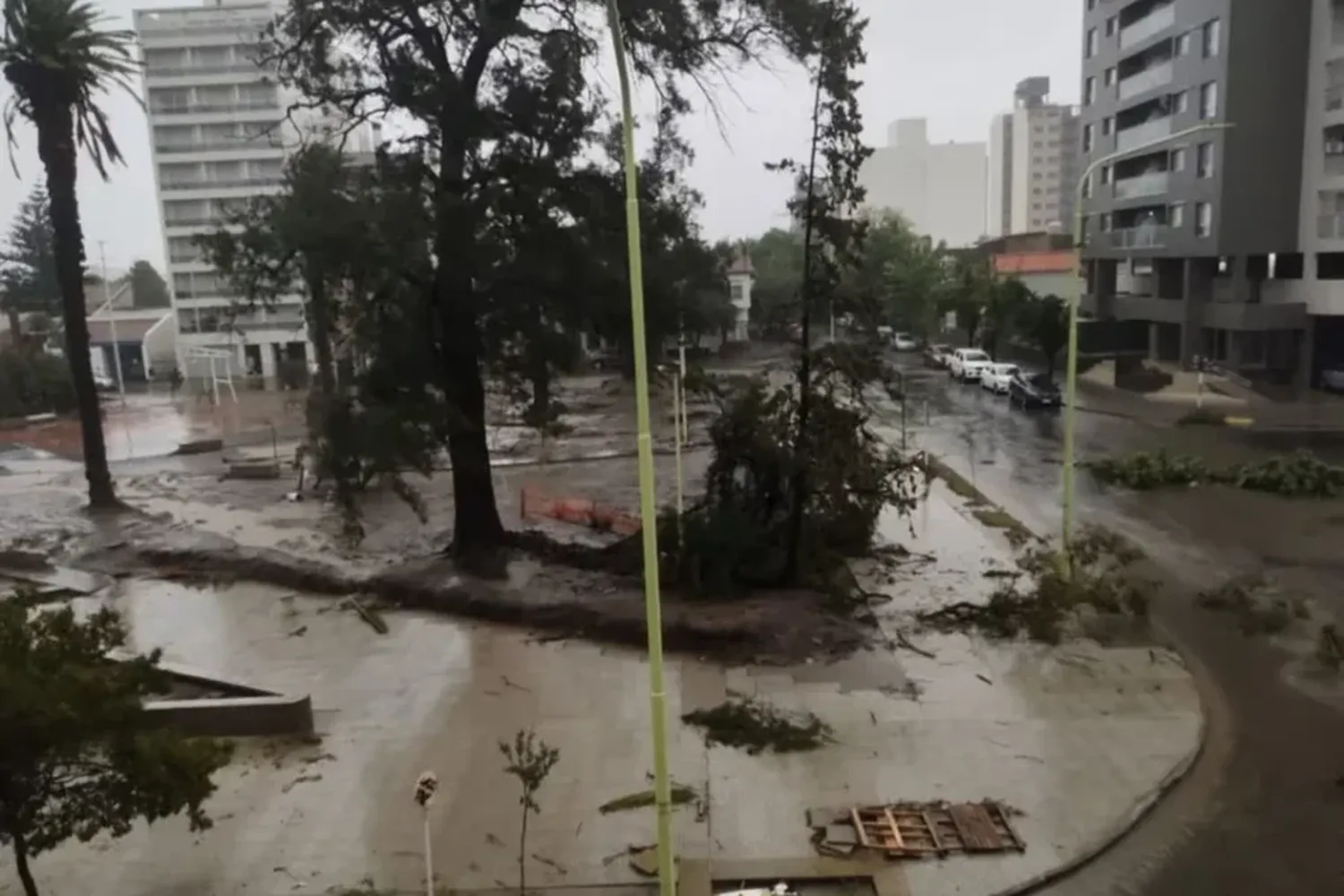 Identificaron a 12 de los 13 fallecidos por el temporal en Bahía Blanca