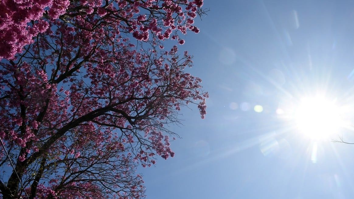"El verano aún no puede predecirse porque cualquier oscilación en el Pacífico puede cambiar el escenario", advirtió Cristina.