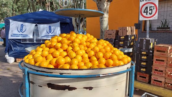 Fiesta de la Naranja: recorrido con variedad de propuestas en la edición 2023
