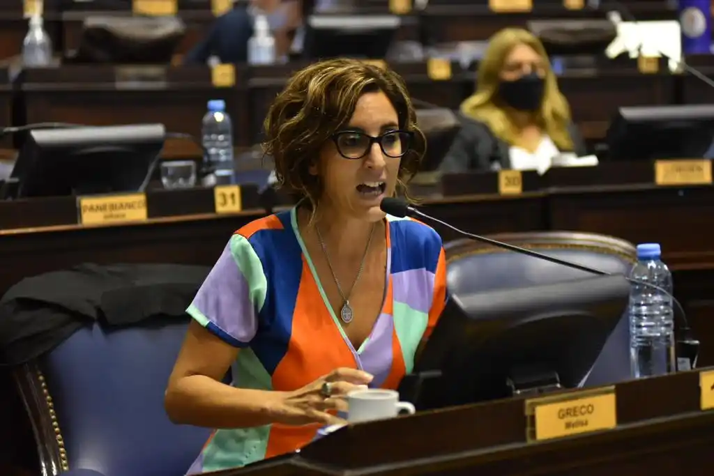 Impulsaron un proyecto de declaración ante los reclamos por las prestaciones en discapacidad
