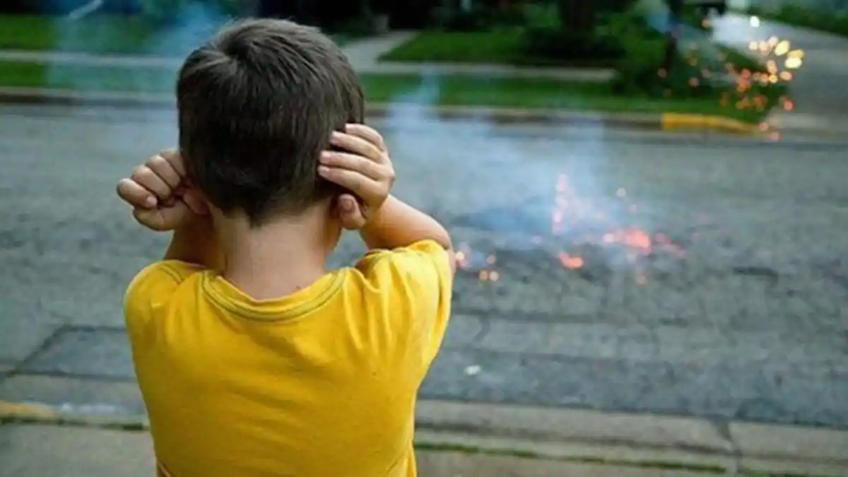 Pirotecnia: el Iprodi propone más luces y menos ruido