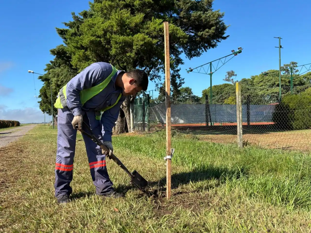 El Municipio completó más de 2.400 metros de cortina forestal en el Aeródromo de Rafaela