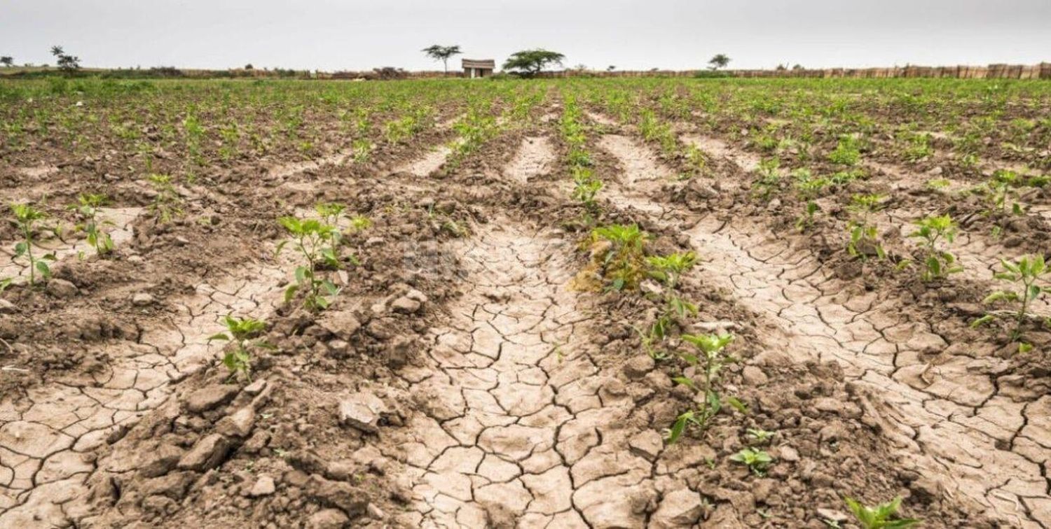 La sequía golpea con fuerza y todavía   falta atravesar un verano complicado