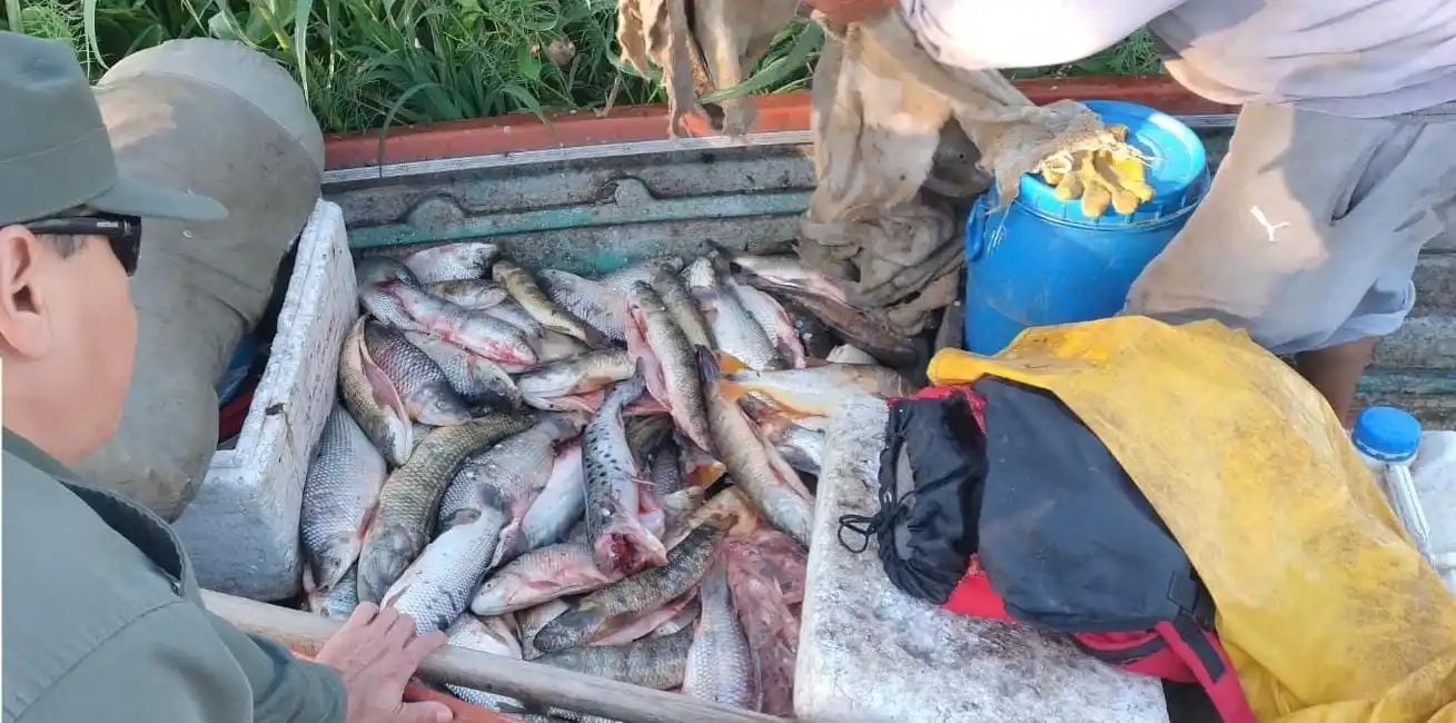 Infraccionaron a cinco personas por deredición itícola y decomisaron más de 800 piezas