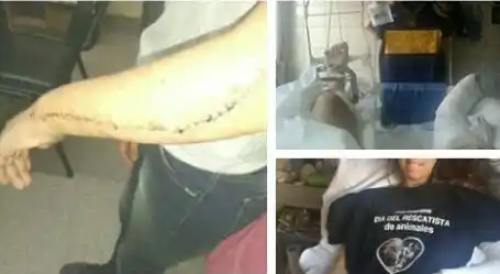 El trágico drama que vivió una proteccionista en Coronel Pringles