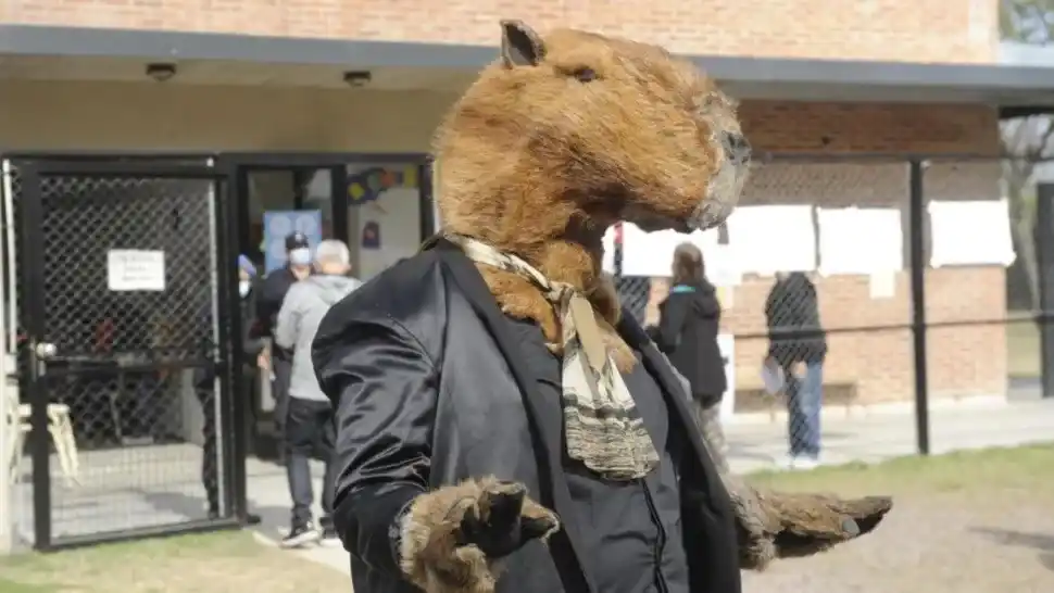 Insólito: ¡Un carpincho de traje se presentó a votar en Nordelta!