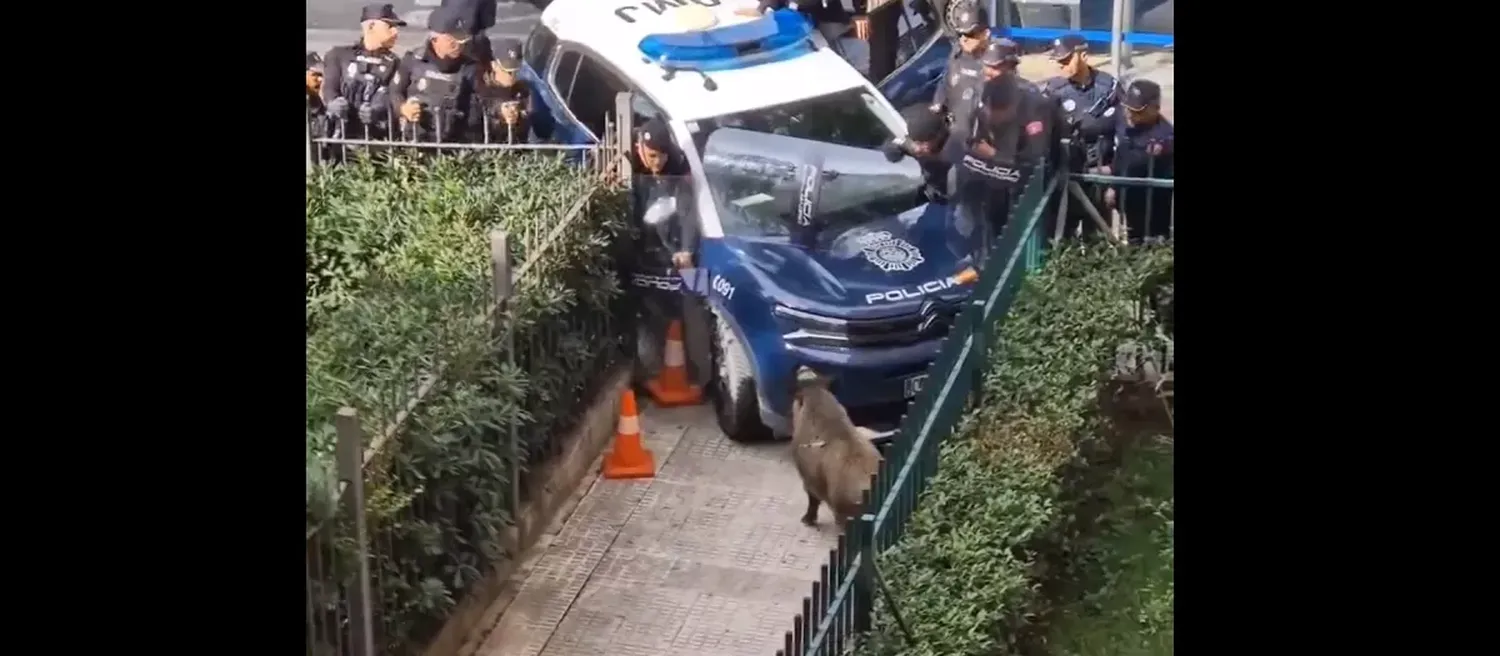 Terror en el barrio de Entrevías.