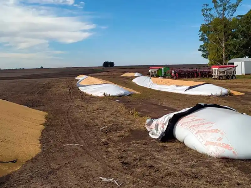 La cúpula policial va a Diputados por los ataques a silobolsas