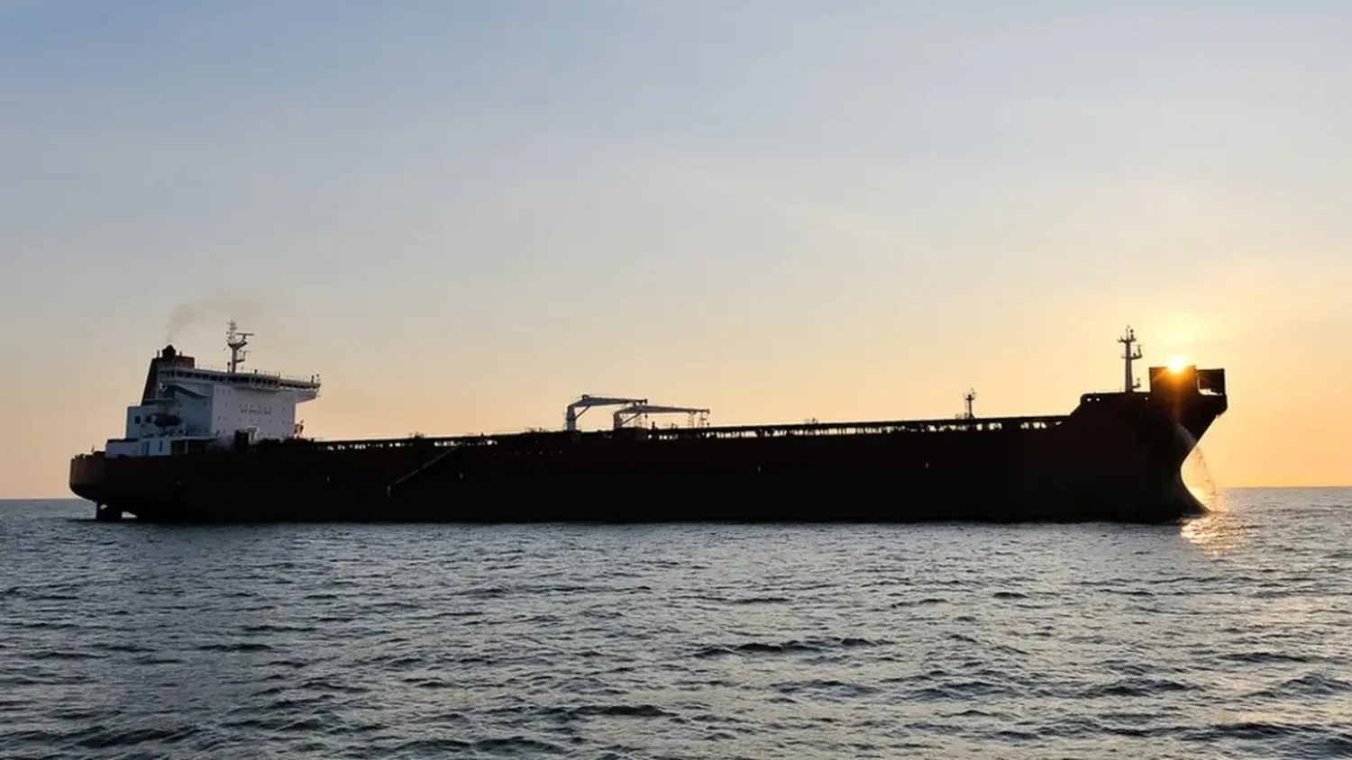 The Houthis have been carrying out attacks on ships for more than five months (file image)