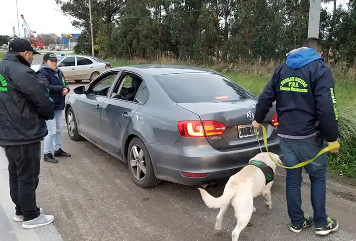 Con un perro detectaron droga en equipaje de un pasajero