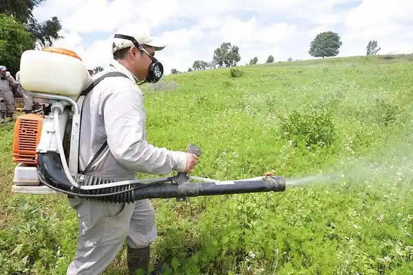 Ley de Fitosanitarios: Tassistro opinó que vulnera el ambiente