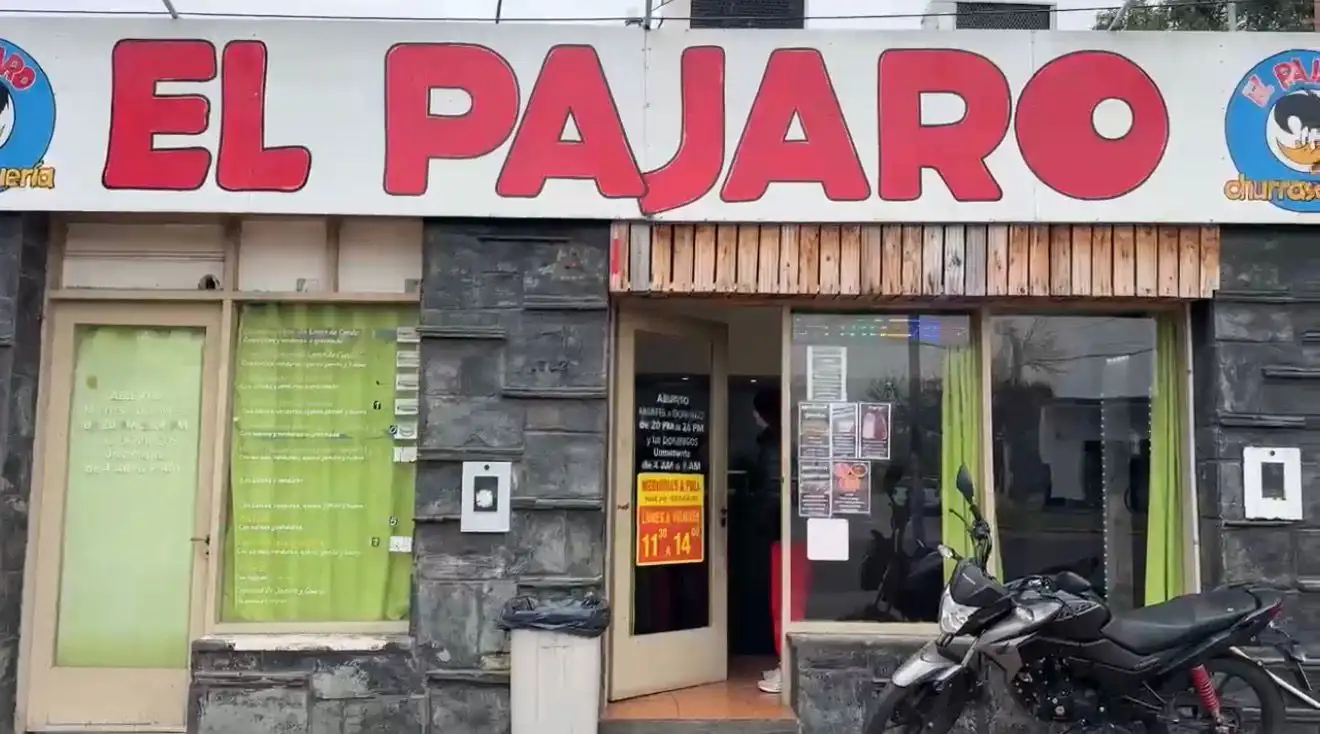 el pajaro - 5