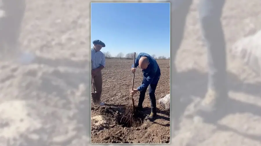 Abel Pintos ya está plantando más de 6.000 árboles en Mercedes