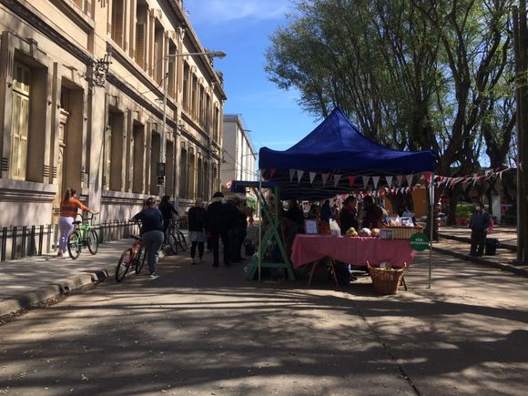 Este sábado, feria Frutos de la Tierra y el Río en plaza Constitución