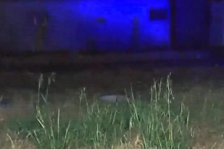 Consternación: encontraron el cuerpo sin vida de una beba que habría sido asesinada a poco de nacer en Rosario