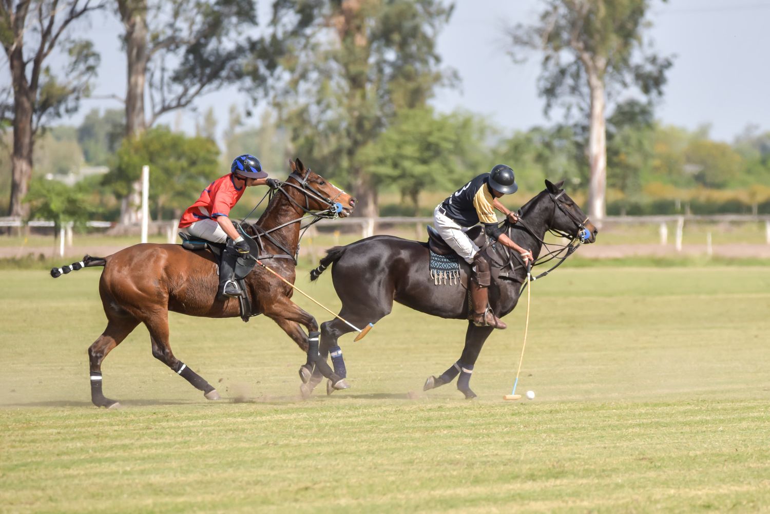 El Jockey Club apuesta al polo para el 2024.