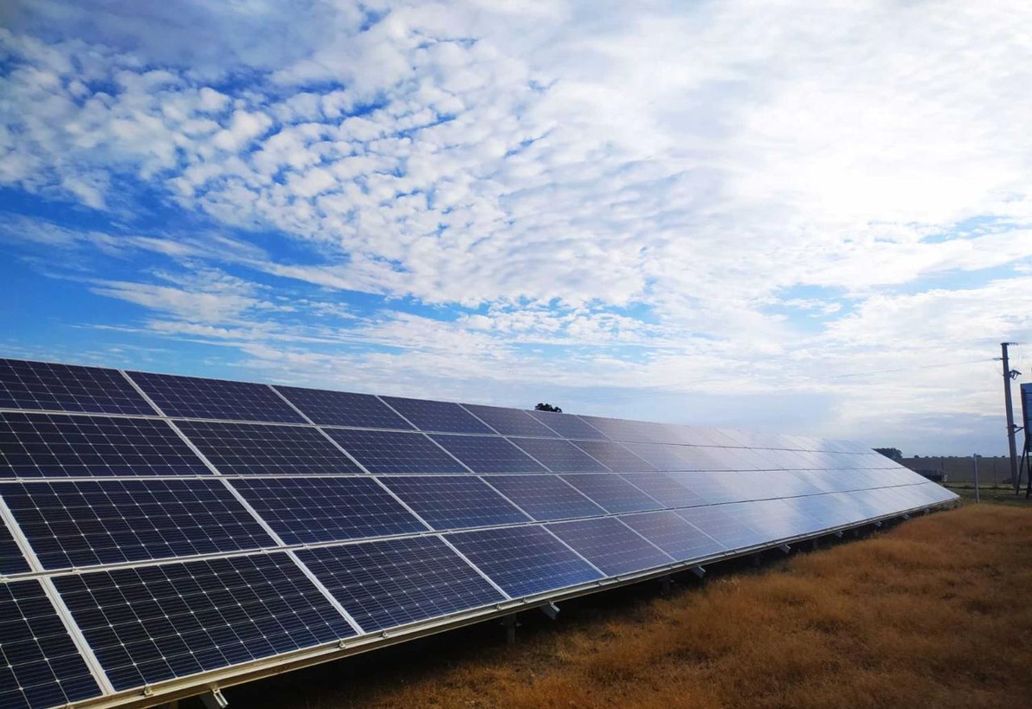 Venado Tuerto tendrá su imponente parque solar de 12 hectáreas