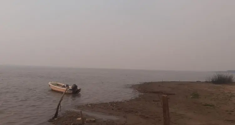Incendios en la zona de islas: qué dice la ley de Humedales que debatirá la Legislatura bonaerense