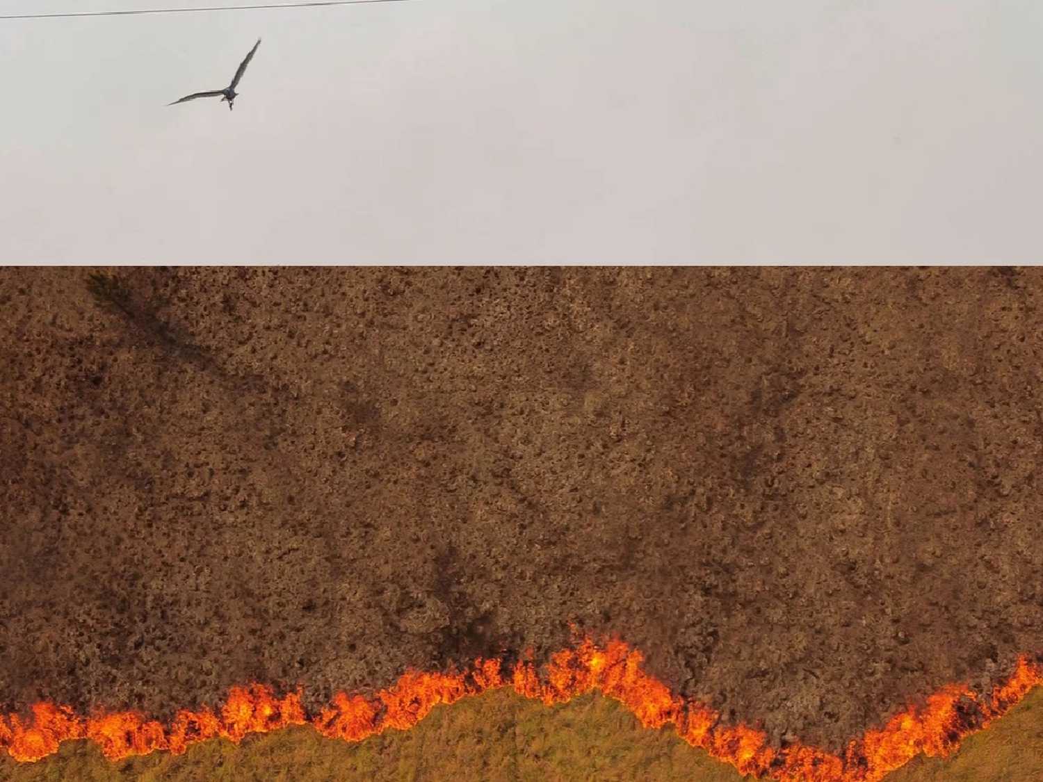 Incendios: Valdés pidió ayuda a Estados Unidos y declarará "zona de desastre" a Corrientes