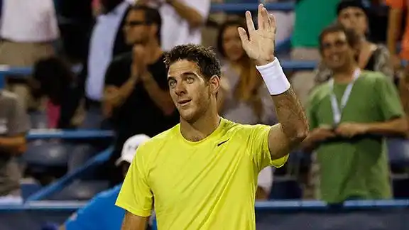 Del Potro venció a Isner y se consagró campeón en Washington