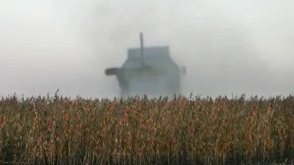  Las lluvias están aseguradas en el verano, pero las preocupan las consecuencias de las tormentas