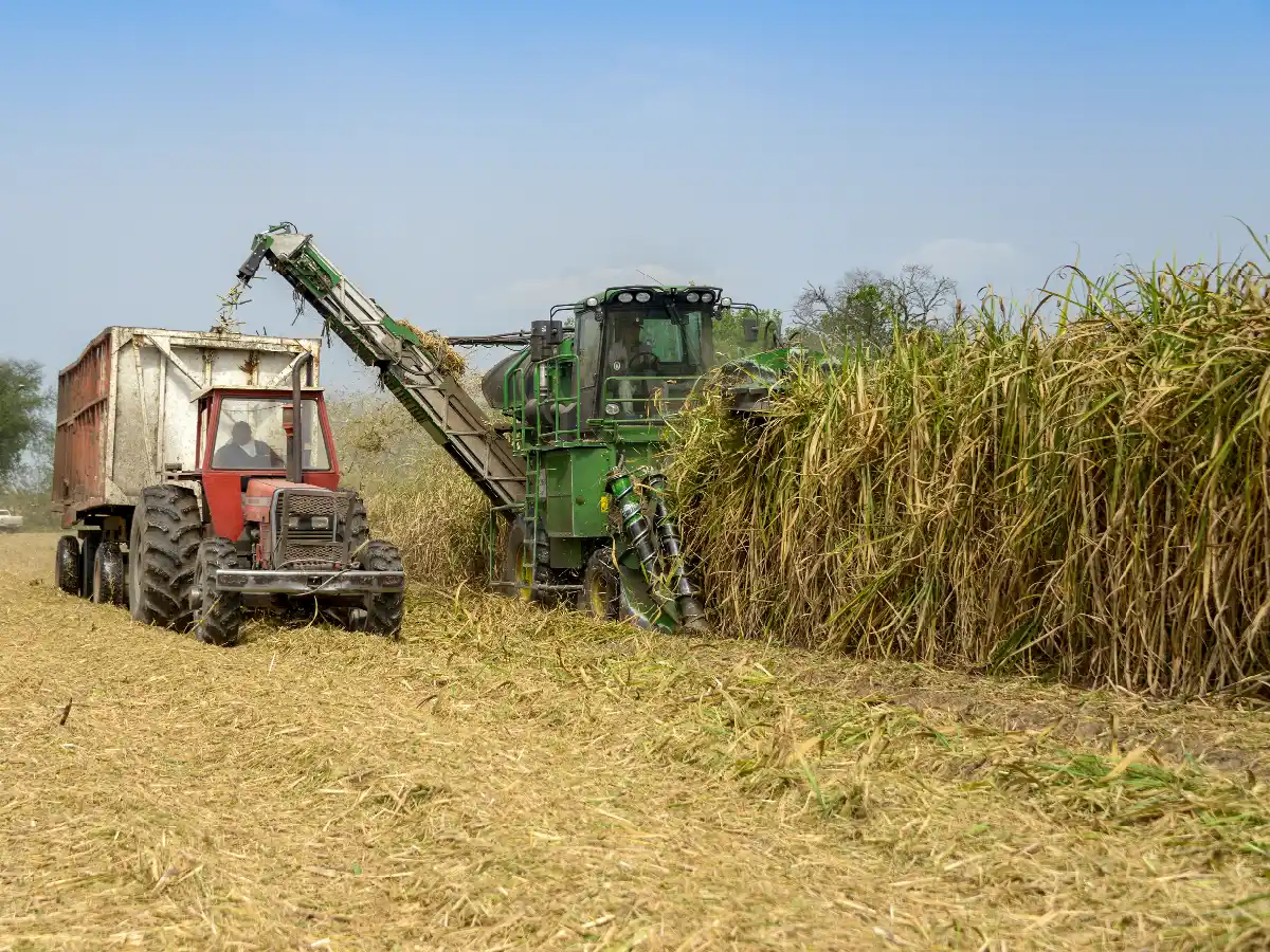 Un estudio revela que el campo es el principal motor del país
