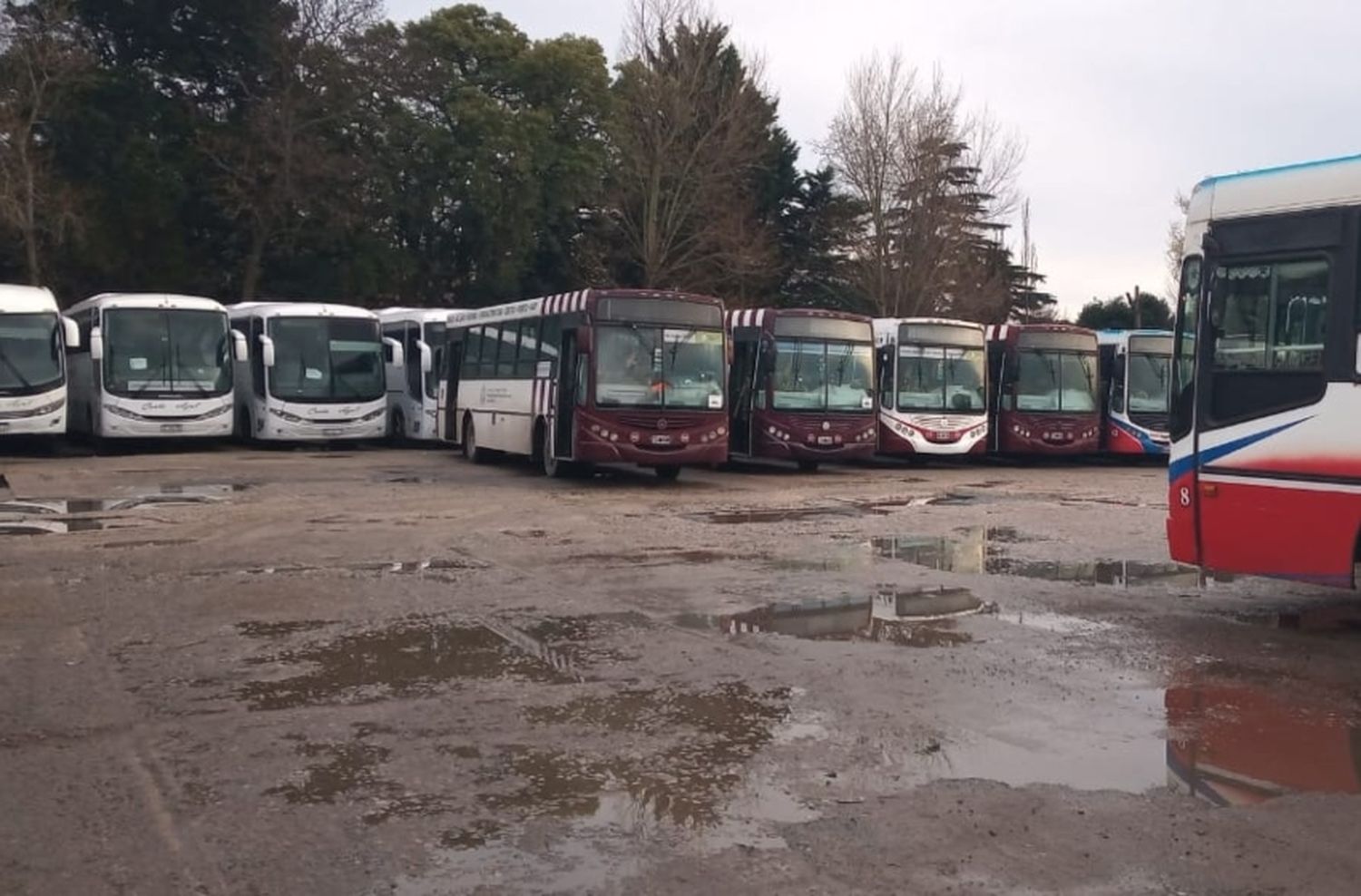 La tregua duró poco: otra vez sin colectivos