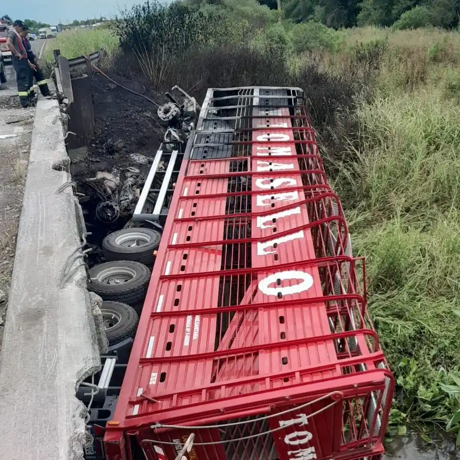 Fatal accidente en la Ruta Nacional 127: murió el conductor de un camión jaula