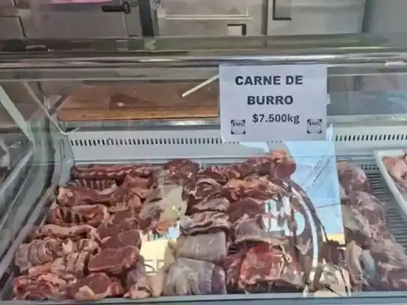 carne de burro - 1