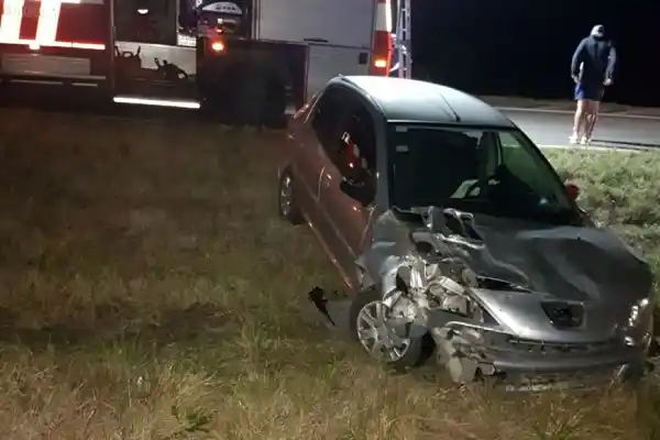 Un automóvil chocó contra un toro de 300 kilos en plena Autovía 14