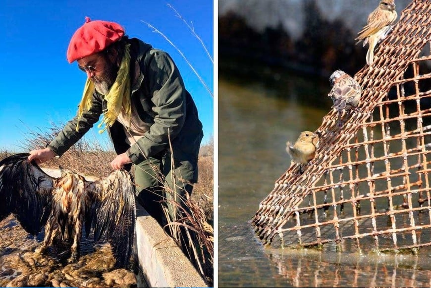 Soluciones eficientes para evitar ahogamiento de fauna en tanques australianos