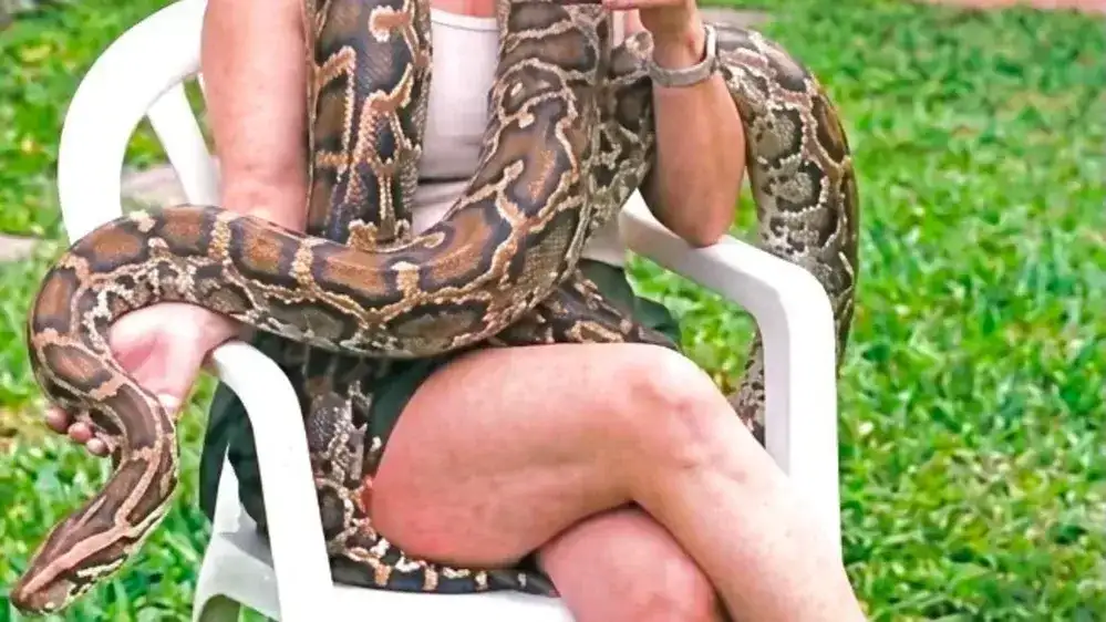 La familia explicó que convive con la serpiente desde hace muchos años, cuando medía cerca de dos metros, y destacó que se trata de un ejemplar "dócil".