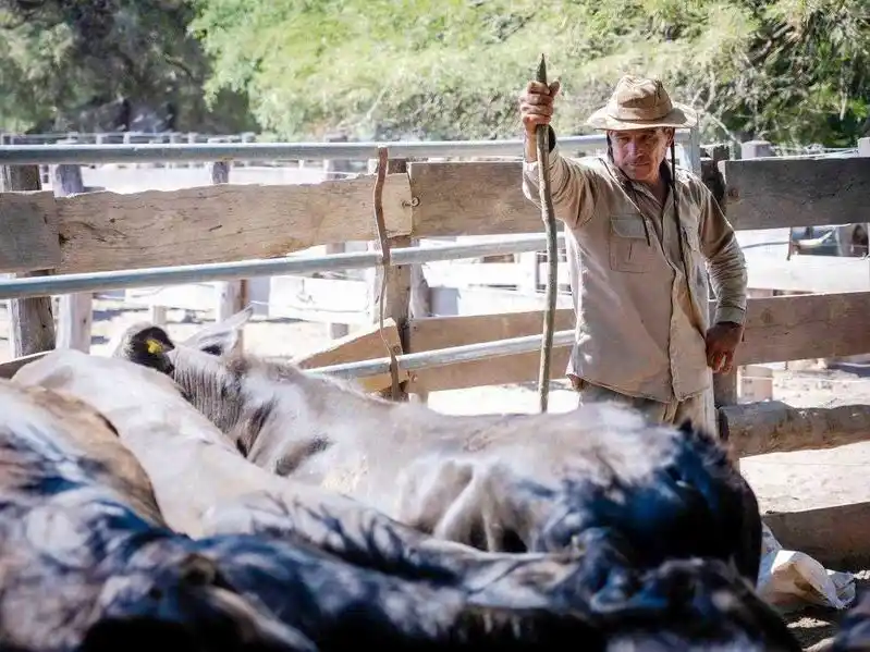 El Ministerio de la Producción apunta a reforzar
el acompañamiento a los pequeños productores