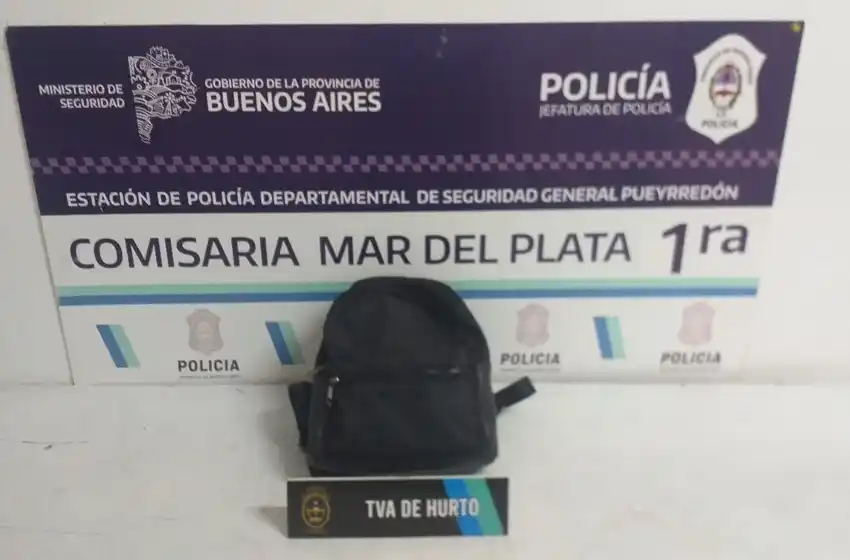 Tomó del cuello a una nena de 13 años para robarle la mochila